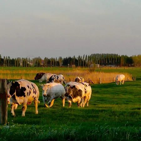 Hof Moye Tyt Penzion Middelkerke