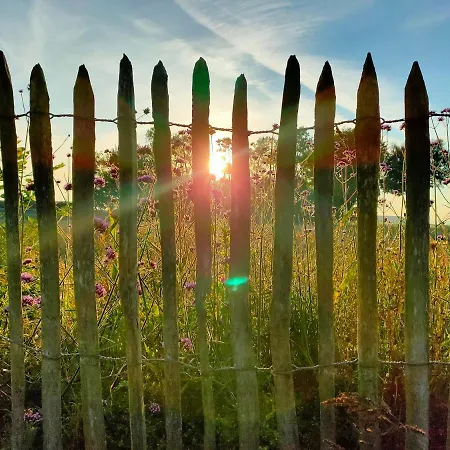 Hof Moye Tyt Penzion